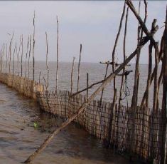 Tonle Sap